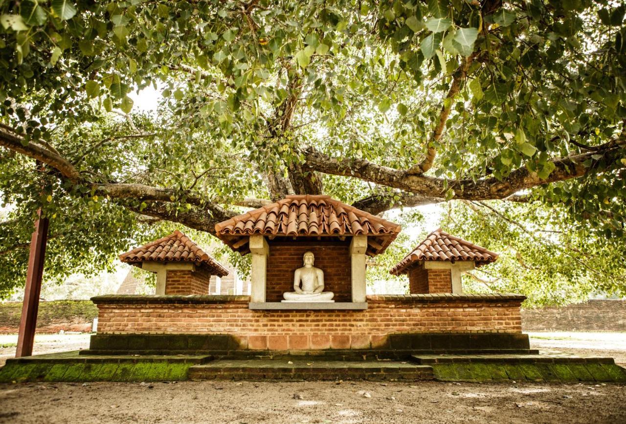 Thaulle Ayurveda Resort - Yala Tissamaharama Exterior photo
